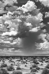 Cholla Needles