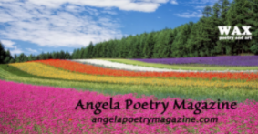 A_____ P_____ Magazine